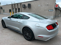 WAS: $22795 NOW: $20888 plus taxes and licensing feesFeel the Thrill! 2017 Ford Mustang V6 - Manual... (image 2)