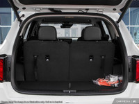 Straightline Kia Packagae: Block Heater, Wheel Locks, $3,000 Security Etch, 1st Oil Change, Professi... (image 6)