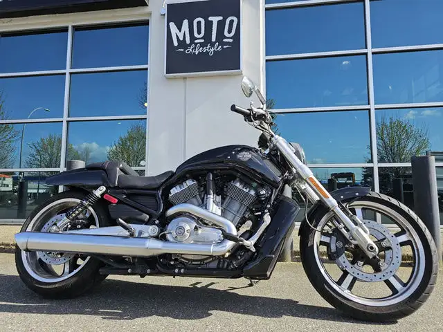 2010 Harley-Davidson VRSC V-Rod Muscle in Street, Cruisers & Choppers in Vancouver - Image 2