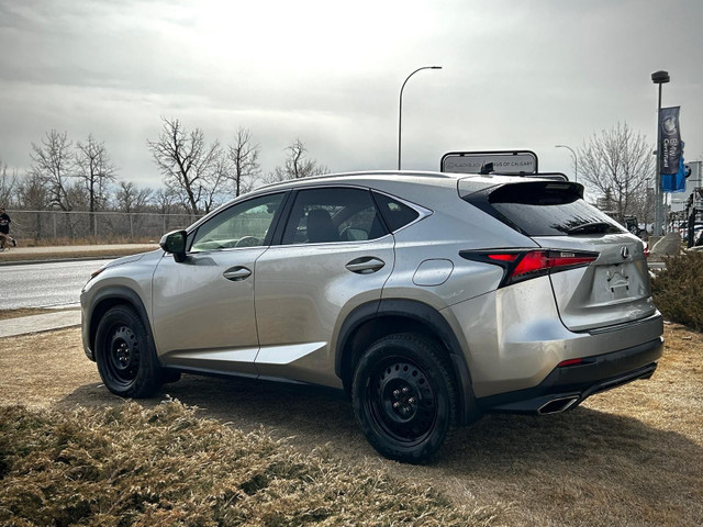2021 Lexus NX 300 in Cars & Trucks in Calgary - Image 4