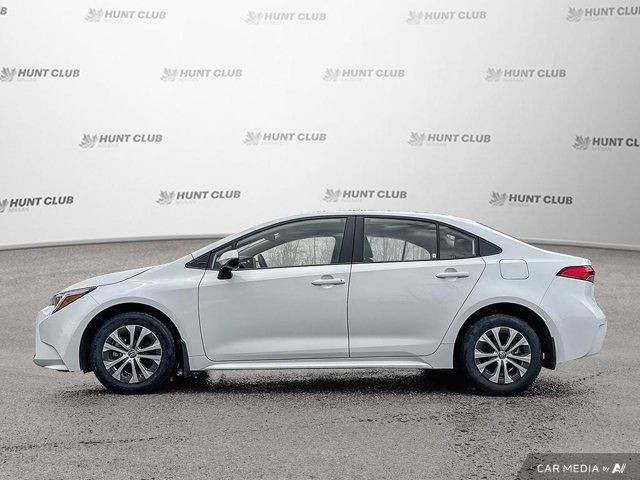 2023 Toyota Corolla Hybrid LE in Cars & Trucks in Ottawa - Image 3