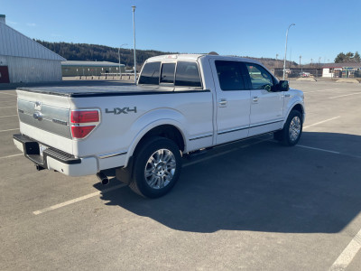 2013 Ford F 150 Platinum