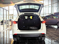 Comes equipped with: Power Mirrors, Shark fin antenna, Halogen Headlamps, Courtesy lights, Fog Light... (image 6)