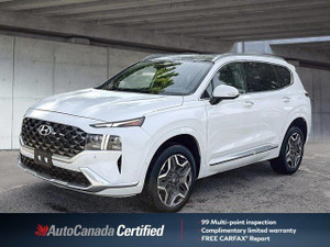 2021 Hyundai Santa Fe Ultimate Calligraphy