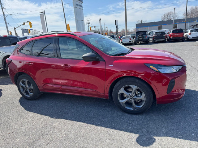 2024 Ford Escape ST LINE in Cars & Trucks in Cornwall - Image 2