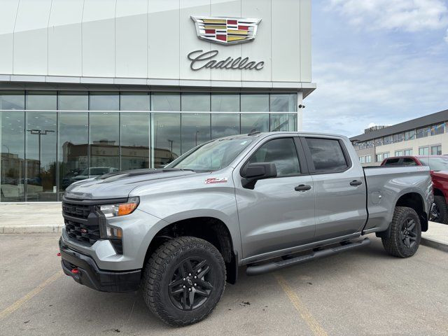 2025 Chevrolet Silverado 1500 Custom Trail Boss 5.3L in Cars & Trucks in Grande Prairie - Image 2
