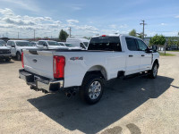 Super Duty F-350 SRW XLT 4WD Crew Cab 8' Box, 18" Aluminum Wheels, 6.7L V8 Turbo Diesel, 10-Speed Au... (image 5)