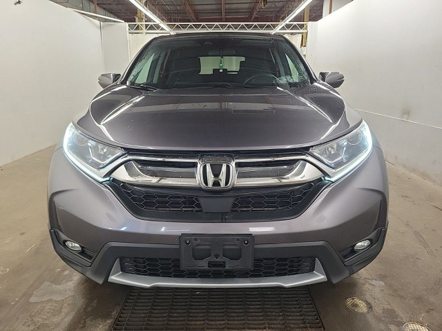 2019 Honda CR-V in Cars & Trucks in Truro - Image 2