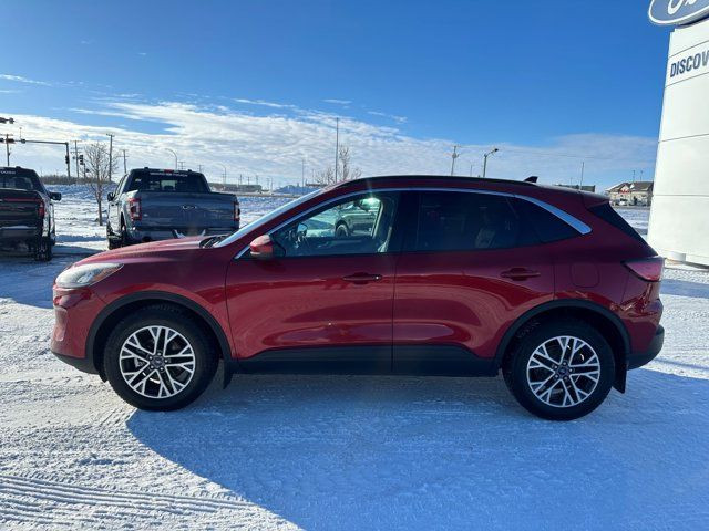 2020 Ford Escape SEL - ADAPTIVE CRUISE AND HEATED STEERING WHEEL in Cars & Trucks in Saskatoon - Image 4