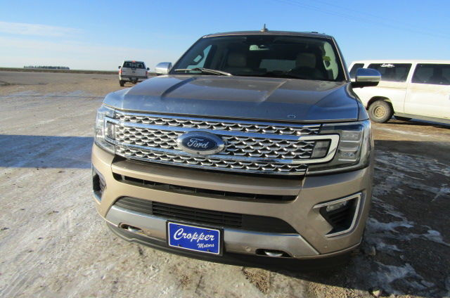 2020 Ford Expedition Platinum Max in Cars & Trucks in Saskatoon - Image 2