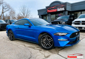 2021 Ford Mustang |ECOBOOST FASTBACK|HEATED SEATS|APPLE CARPLAY|ALLOYS|