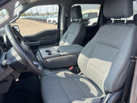 Welcome to Freedom Ford. Recent Arrival! 4WD, 6 Speakers, Auto High-beam Headlights, Automatic tempe... (image 7)