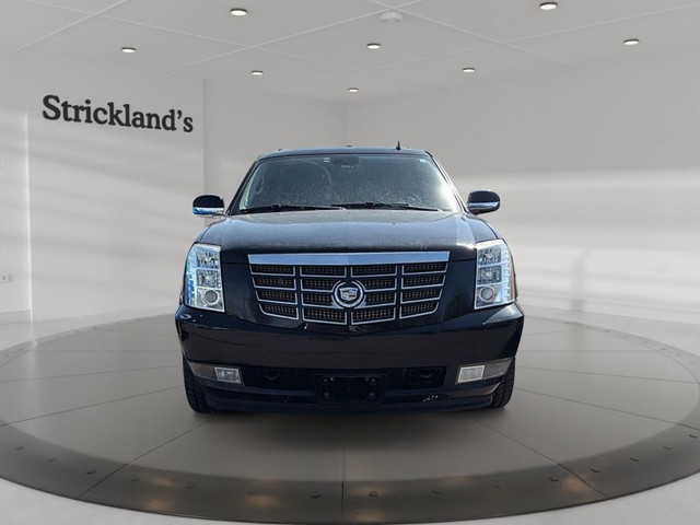 2008 CADILLAC ESCALADE in Cars & Trucks in Stratford - Image 3