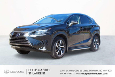 2020 Lexus NX 300h EXECUTIF AWD