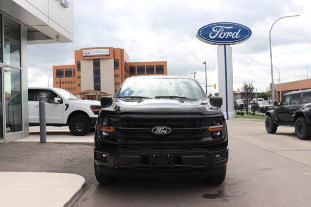 2025 Ford F-150 XLT in Cars & Trucks in Winnipeg - Image 2