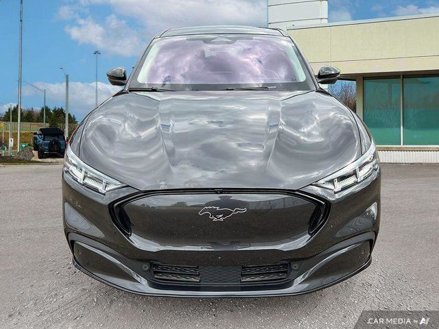 2022 Ford Mustang Mach-E Premium in Cars & Trucks in Kitchener / Waterloo - Image 3
