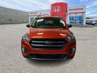 2019 Ford Escape SEL AWD – One Owner | Local Lethbridge SUV | Clean Carfax & Full Service History!Th... (image 6)