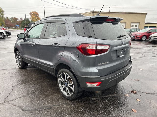  2019 Ford EcoSport SES LEATHER/NAV/SUNROOF CALL NAPANEE 613-354 in Cars & Trucks in Belleville - Image 4