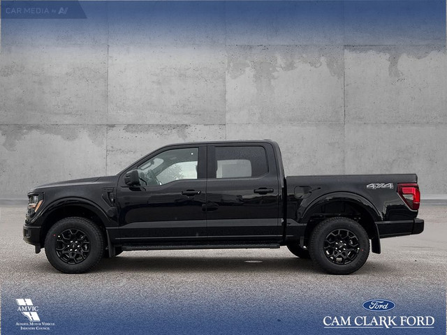 2025 Ford F-150 XLT in Cars & Trucks in Red Deer - Image 4