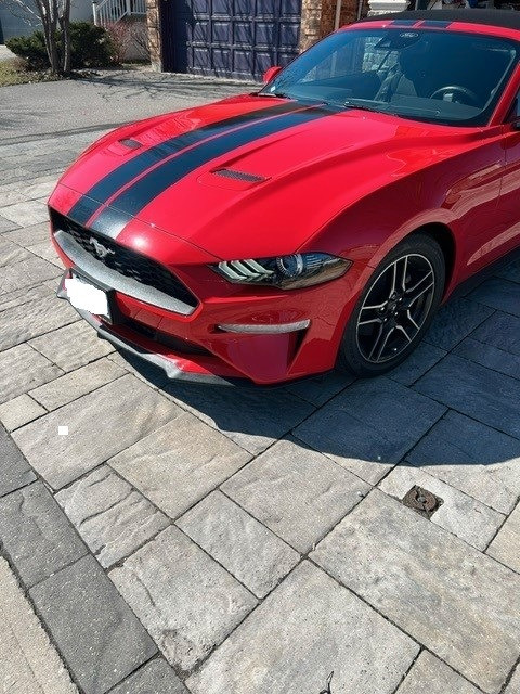 2022 Ford Mustang EcoBoost in Cars & Trucks in Markham / York Region - Image 3