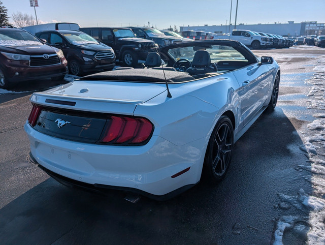2021 Ford Mustang EcoBoost Premium *PRICE REDUCED* 2.3L CONVE... in Cars & Trucks in Calgary - Image 4