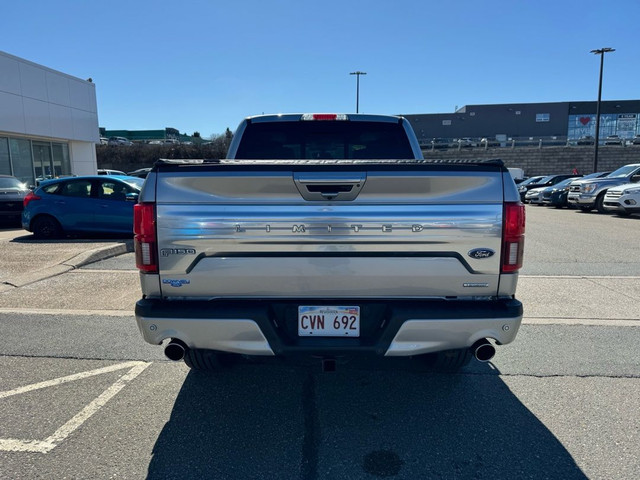  2020 Ford F-150 Limited in Cars & Trucks in Saint John - Image 4