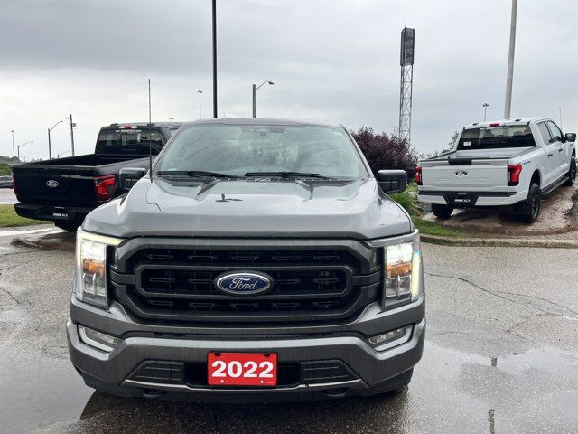 2022 Ford F-150 XLT in Cars & Trucks in Kitchener / Waterloo - Image 2