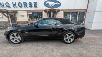 2014 Ford Mustang GT Used Mustang/2dr/GT/Convertible/ 5.0L V8...