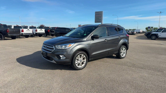 2019 Ford Escape in Cars & Trucks in Edmonton - Image 3