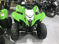 2023 Kawasaki KFX90 90