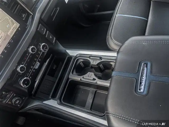 2025 Ford Super Duty F-250 SRW Platinum dans Autos et camions dans Brandon - Image 27