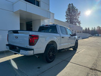 STX 2WD SuperCrew 5.5' Box Engine: 5.0L V8 (image 3)
