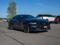 The 2022 Ford Mustang GT is a modern muscle car that combines thrilling performance with refined tec... (image 9)