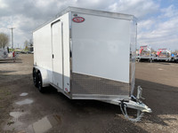 2025 AMERALITE LEGACY LITE TA BARN DOORS ALL ALUMINUM ENCLOSED V