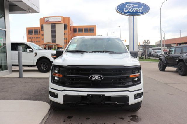 2025 Ford F-150 XLT in Cars & Trucks in Winnipeg - Image 2