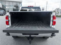 Plow Included - WESTERN PLOW | HD Trailering Pkg | Heated Seats | Leather Wrapped Steering Wheel | R... (image 7)