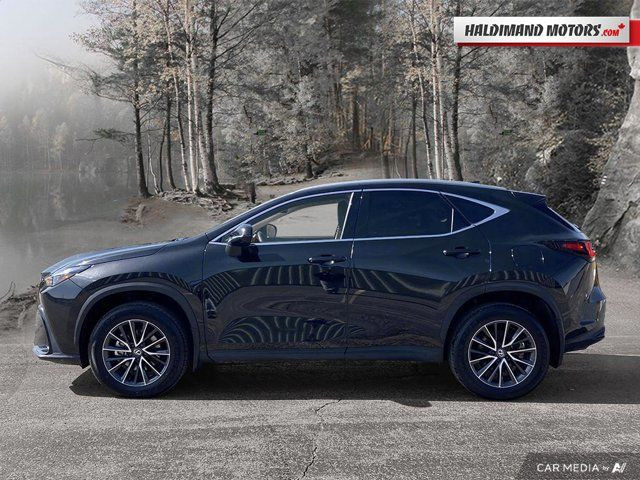2024 Lexus NX NX 250 in Cars & Trucks in Hamilton - Image 2