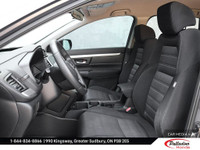 Discover the reliability and versatility of the 2020 Honda CR-V LX, now available at Palladino Honda... (image 9)
