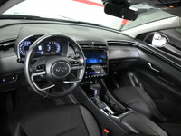 Cash Price: $35,995 Finance Price: $33,995 Low Mileage, Apple Carplay, Android Auto, Heated Seats an... (image 9)