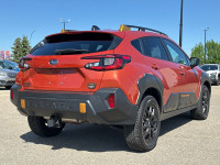 Low Mileage, Off-Road Package, Heated Seats, Apple CarPlay, Android Auto, Adaptive Cruise Control! A... (image 7)