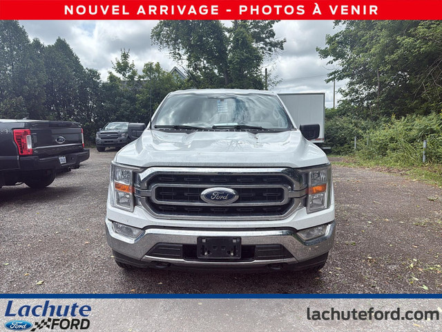 Ford F-150 XLT 4WD SuperCab 6.5' Box 2023 à vendre in Cars & Trucks in Laurentides - Image 2