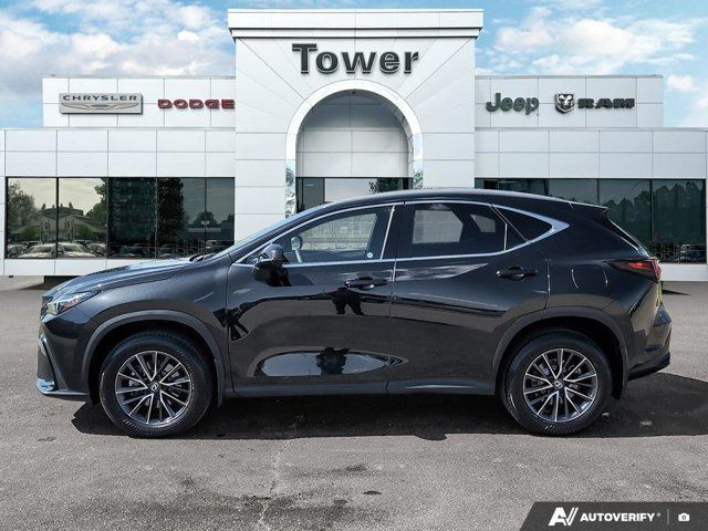 2024 Lexus NX NX 350 | Turbocharged | AWD | Sunroof | Adaptive in Cars & Trucks in Calgary - Image 3