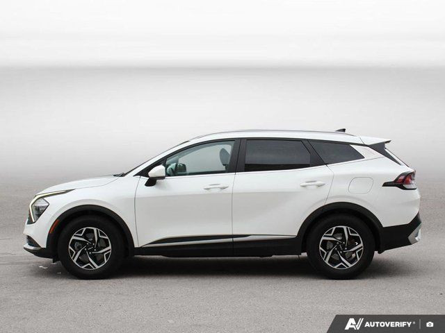 2023 Kia Sportage LX in Cars & Trucks in Hamilton - Image 2