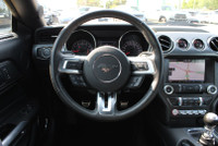 NO ACCIDENT Unleash the thrill of the open road with the 2015 Mustang GT 5.0L V8 Premium Coupe 6 Spe... (image 8)