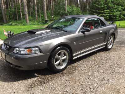 2004 Ford Mustang Basic