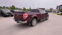 Four Wheel Drive. Cloth Interior. USB Input(s). Auxiliary Input. Steering Wheel Controls: Cruise, Me... (image 8)