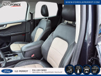 TITANIUM, AWD, TOIT OUVRANT PANORAMIQUE, NAVIGATION, CUIR, SIÈGES ELECTRIQUES/CHAUFFANTS, BLUETOOTH,... (image 9)