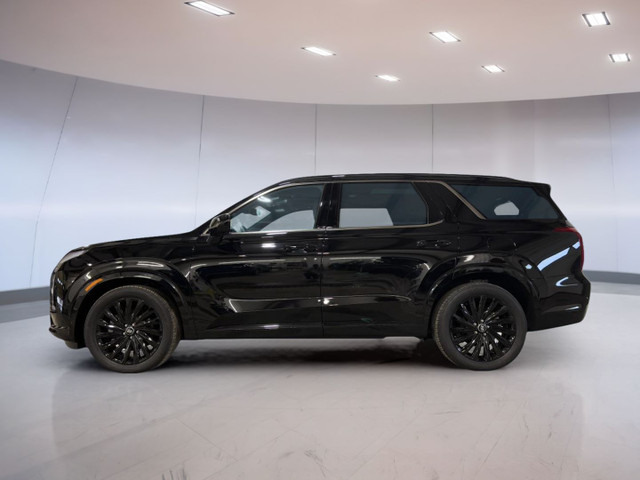 2025 Hyundai Palisade Ultimate Calligraphy in Cars & Trucks in Moose Jaw - Image 3