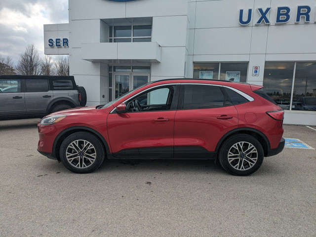 2020 Ford Escape SEL 4WD - Leather/Roof/Nav/Adaptive Cruise!!!! in Cars & Trucks in Kawartha Lakes - Image 2