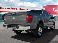 Dominate any terrain with this powerful 2024 Ford F-150 XLT Crew Cab. This robust truck boasts a pot... (image 5)